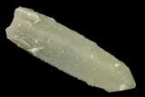 Sage-Green Quartz Crystal with Dual Core - Mongolia #169899-1